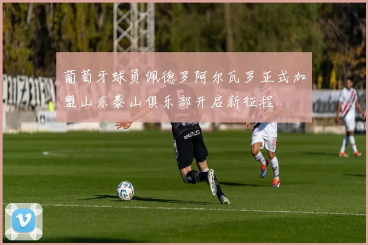葡萄牙球员佩德罗阿尔瓦罗正式加盟山东泰山俱乐部开启新征程