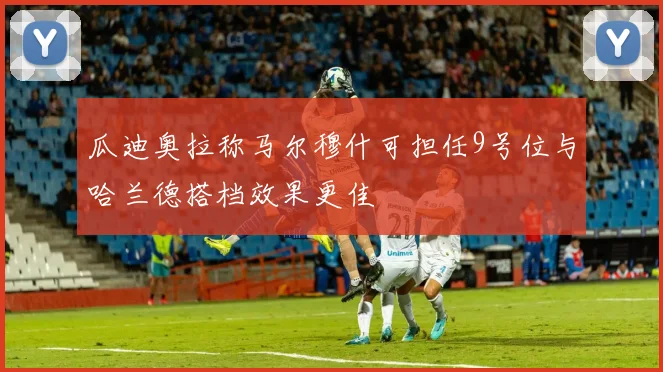 瓜迪奥拉称马尔穆什可担任9号位与哈兰德搭档效果更佳