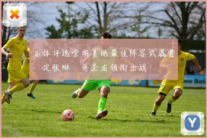 东体评选崇明基地最佳阵容武磊曹赟定张琳芃蒋圣龙领衔出战