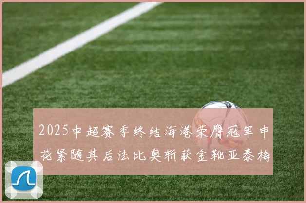 2025中超赛季终结海港荣膺冠军申花紧随其后法比奥斩获金靴亚泰梅州遗憾降级