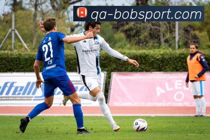 BOB足球平台生态图